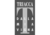 Triacca