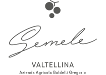 Baldelli Gregorio