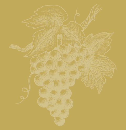 Sforzato di Valtellina DOCG